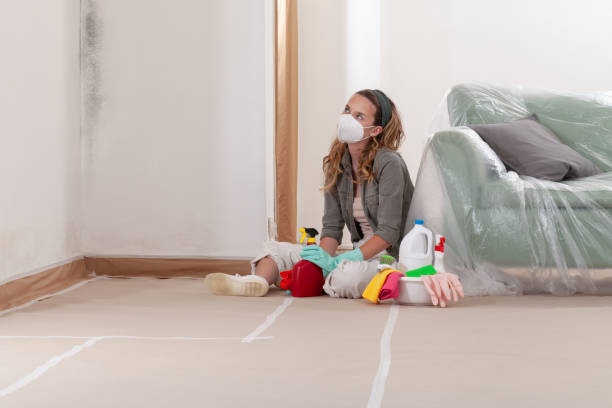 Reliable Black Mold Remediation contractor in Woodinville, WA by Mold Remediation HQ